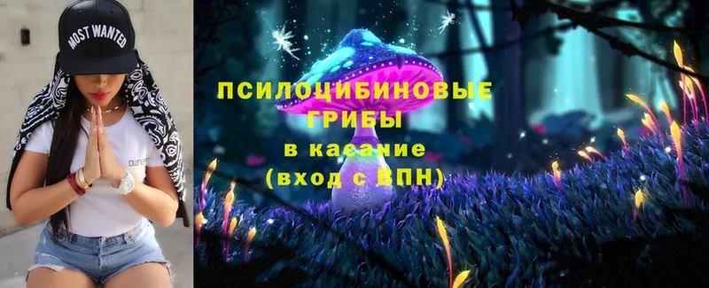 Галлюциногенные грибы Magic Shrooms  где найти   KRAKEN как зайти  Арамиль 